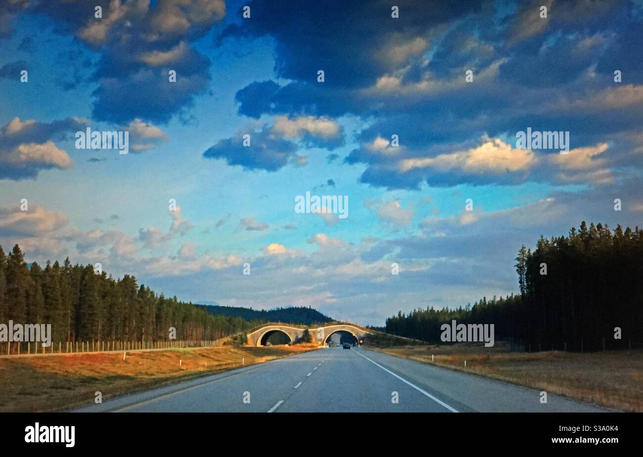 Nach Alberta, Sonnenaufgang, TransCanada Highway, Canadian Rockies, Bow Valley Provincial Park, Alberta. Reisen in Alberta, Wildlife Overpass, Animal Overpass Stockfoto