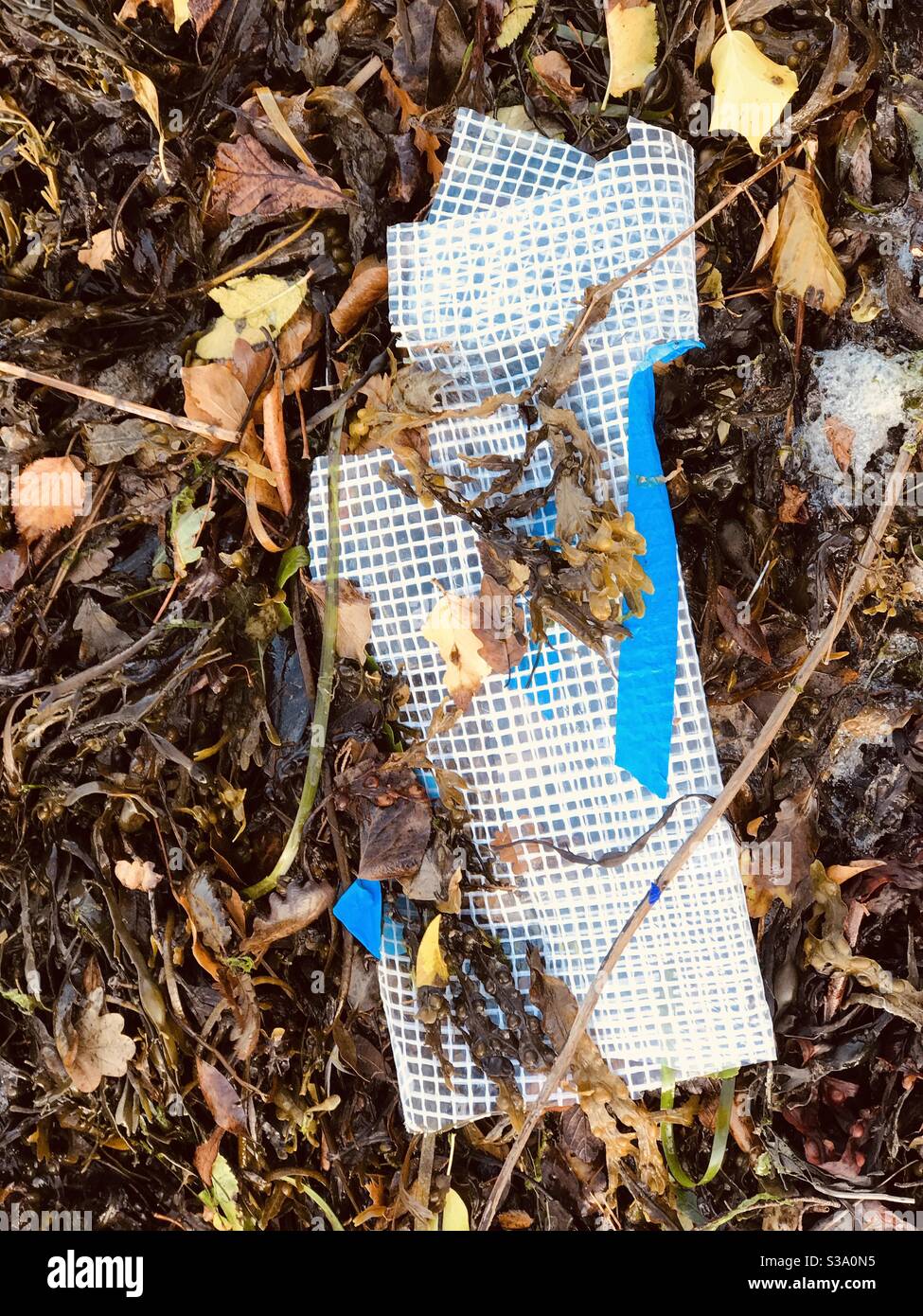 Plastikverschmutzung wird nach Cornwall am Golfstrom transportiert Von Meeren & Ozeanen weltweit - Smartphone-aufgenommenes Stockfoto