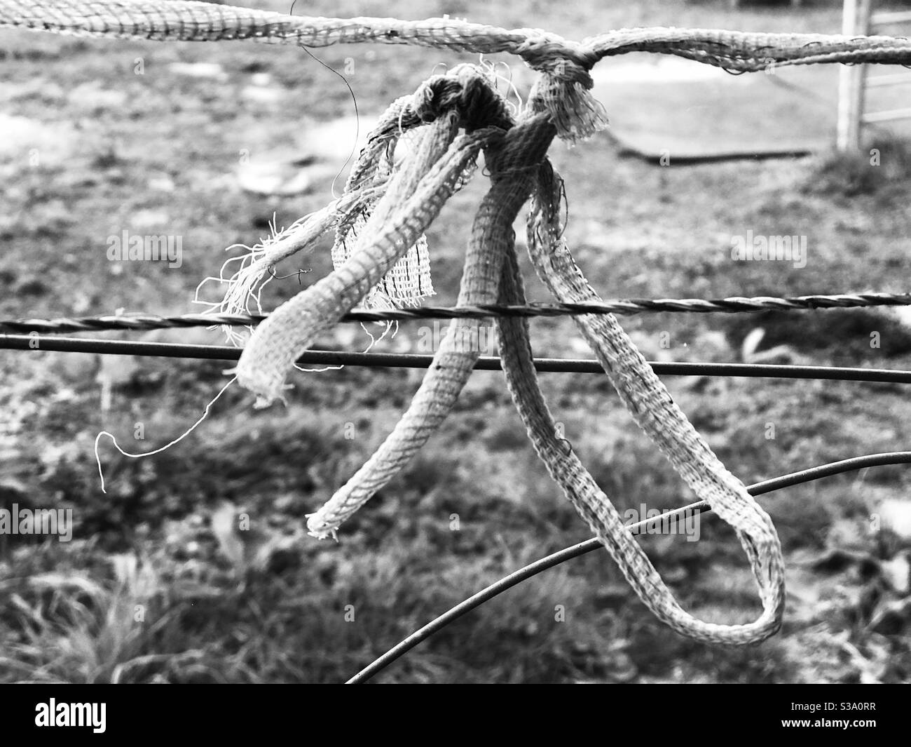 Stacheldraht zaun - Smartphone-aufgenommenes Stockfoto