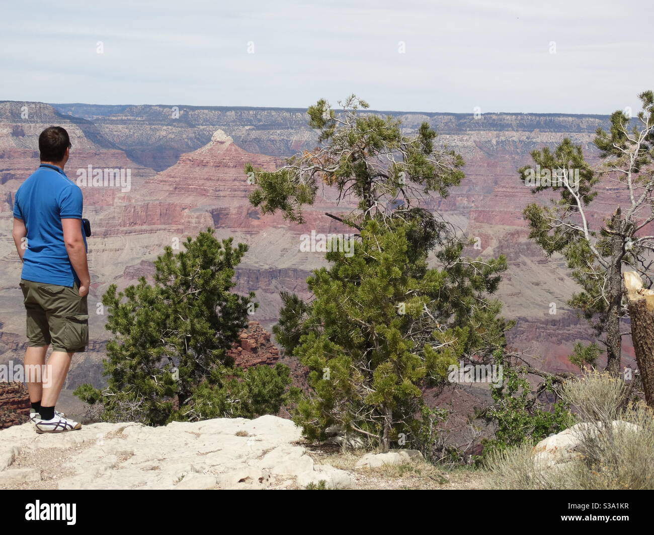 Grand Canyon, Geologie, Gesteinsschichten, schöner Sonnenschein, Verwitterung, Natur. Stockfoto