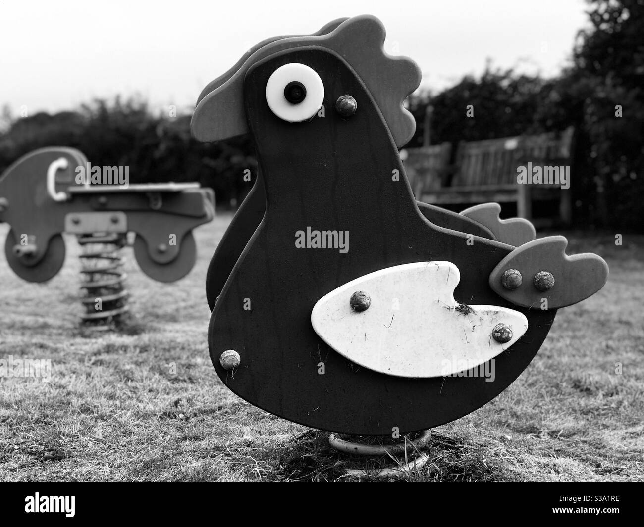 Mein Hähnchen aus der Gegend - Smartphone-aufgenommenes Stockfoto