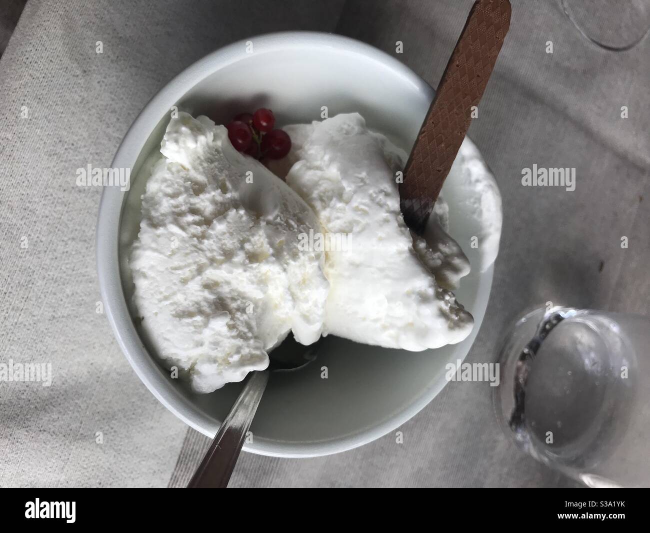 Eis mit Zitronengeschmack serviert mit einem Schokoladenbiskuit Stockfoto