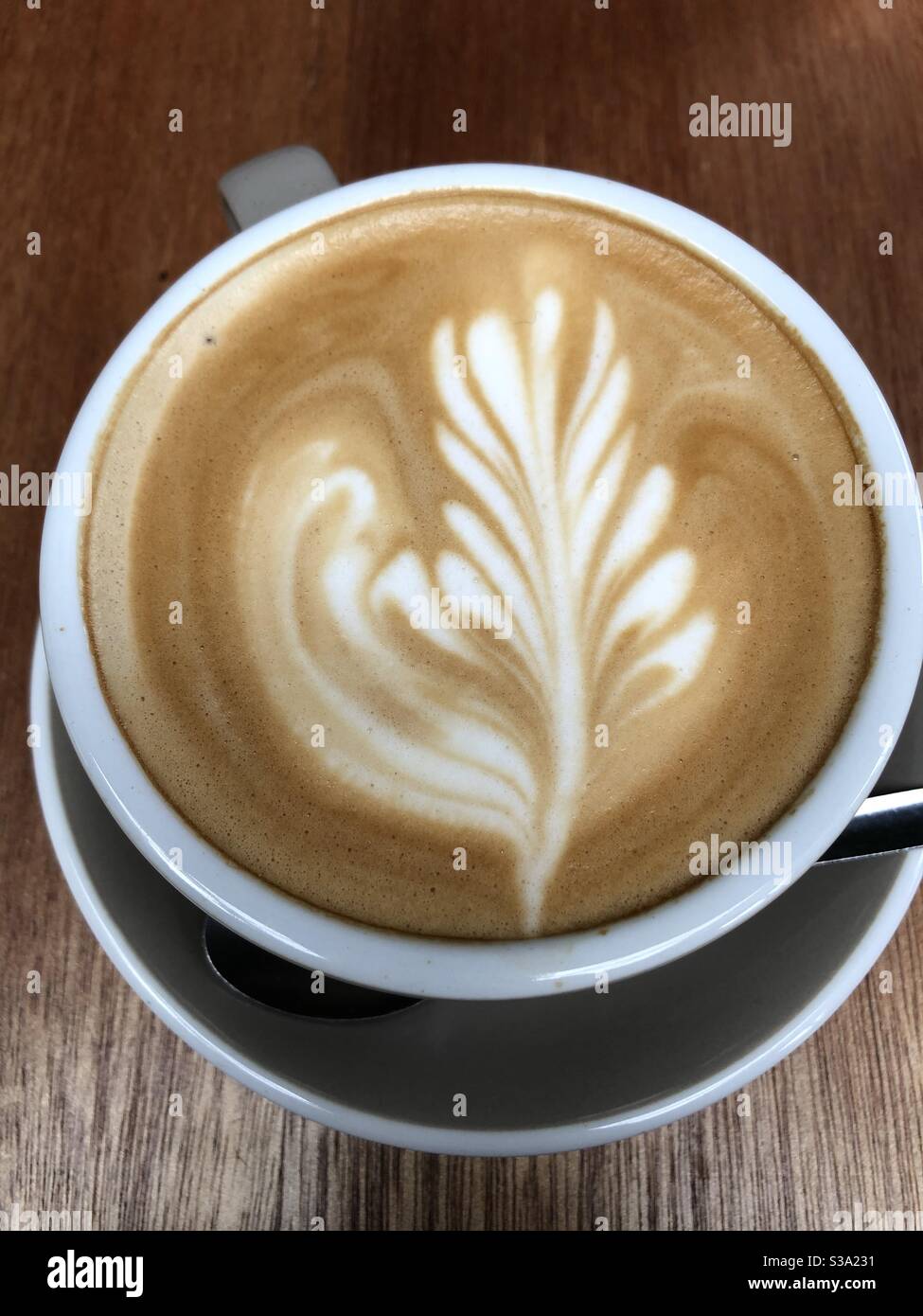 Kaffeekunst, Blumenmuster, Latte, hübsches Bild Stockfoto