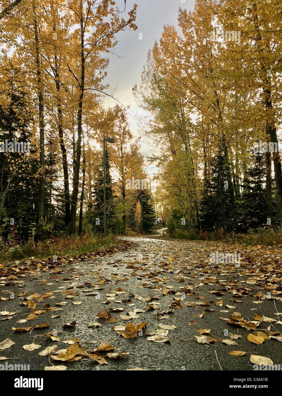Herbsttag auf Ship Creek Trail, Anchorage, Alaska. - Smartphone-aufgenommenes Stockfoto