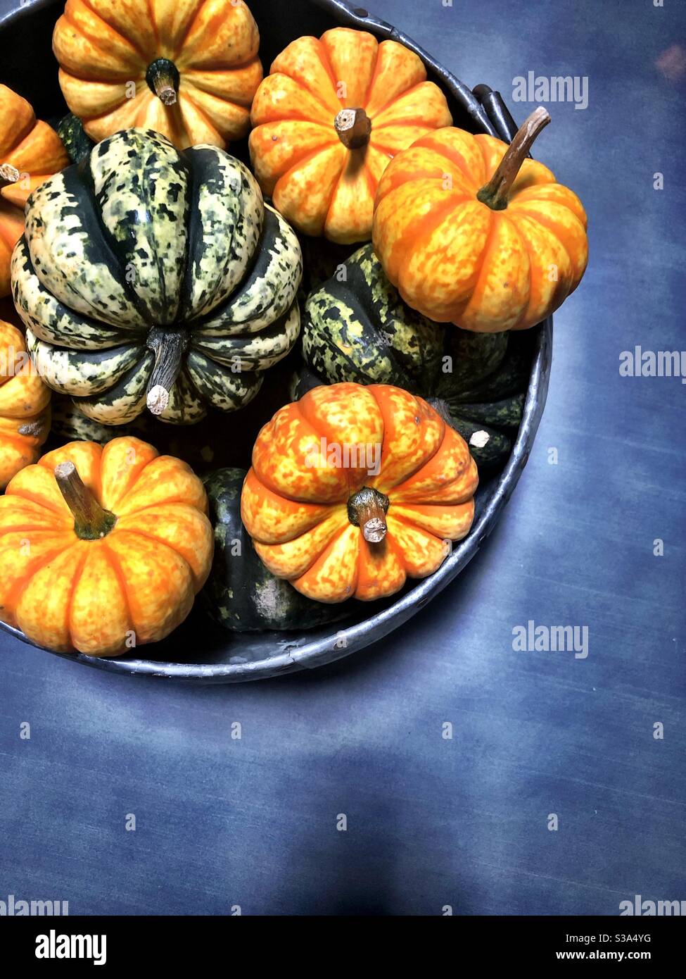Herbst Kürbisse in einer Metallschale - Smartphone-aufgenommenes Stockfoto