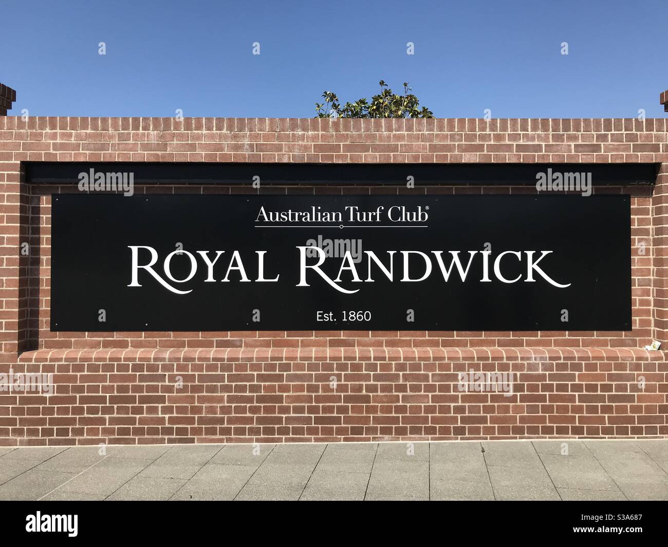 Australian Turf Club Royal Randwick Stockfoto