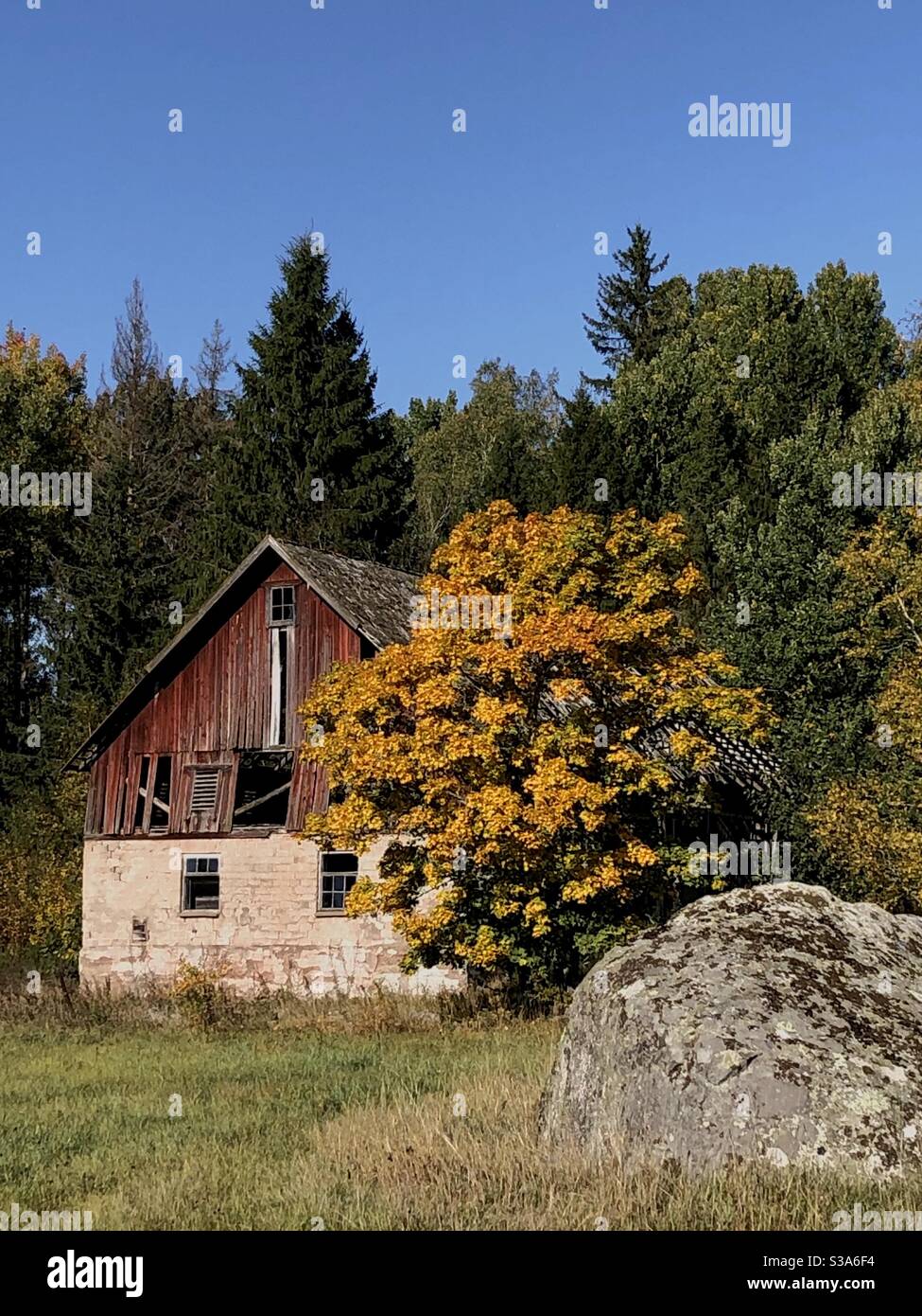 Alte gewitterte Scheune und Herbstfarbe. - Smartphone-aufgenommenes Stockfoto