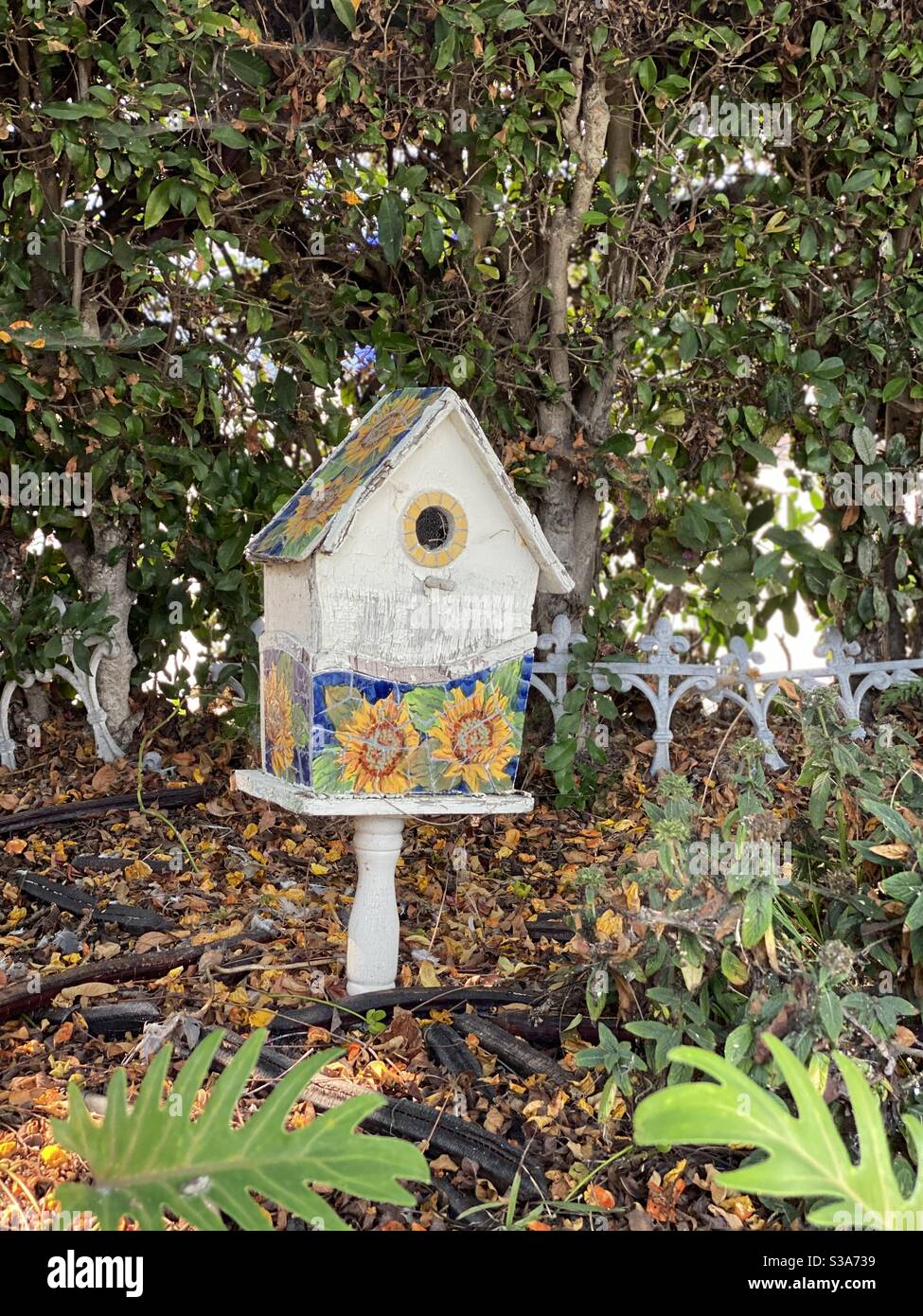 Ein Vogelhaus ist von Gartenvegetation umgeben. Stockfoto