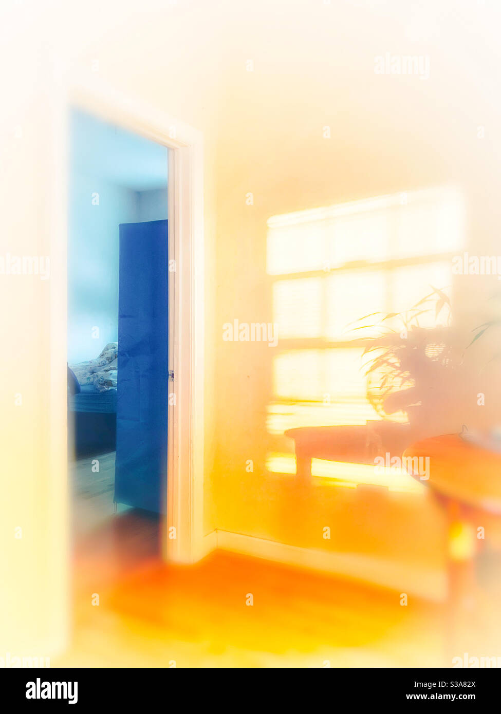 Die warme Morgensonne auf der Ecke des Tisches Mit seinen und Bonsai Schatten an der Wand in der Wohnzimmer im Vergleich zum bläulichen Schrank und Schlafzimmer in Cyan Eine anständige Atmosphäre Stockfoto