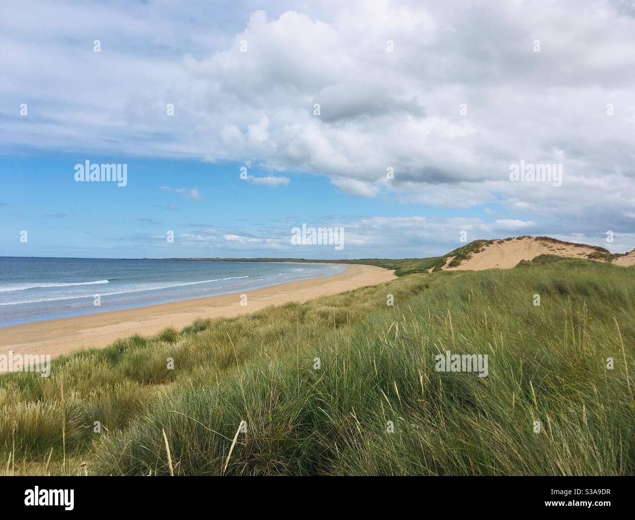 Sanddüne am Fraserburgh Beach, Aberdeenshire, Schottland Stockfoto