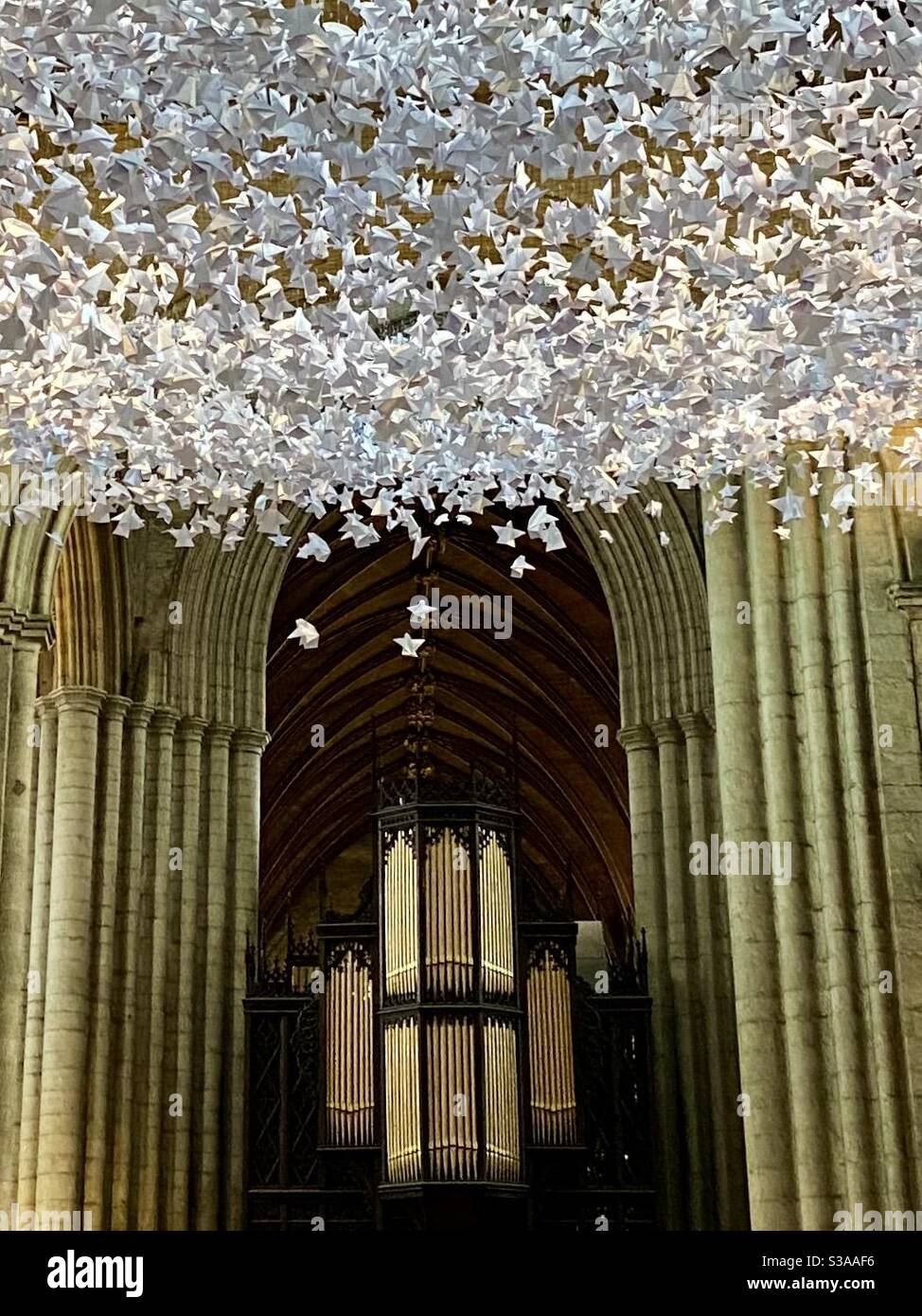 Ripon Cathedral, Ripon, Yorkshire Stockfoto