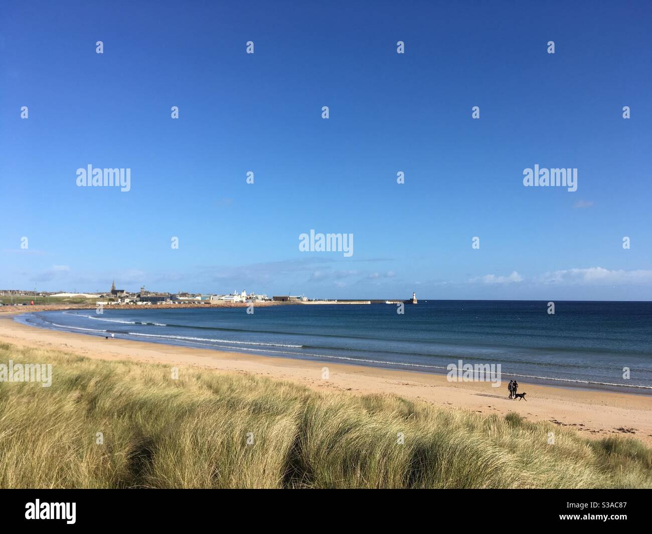 Hundespaziergänger am goldenen Sandstrand von Fraserburgh Beach, Aberdeenshire, Schottland Stockfoto