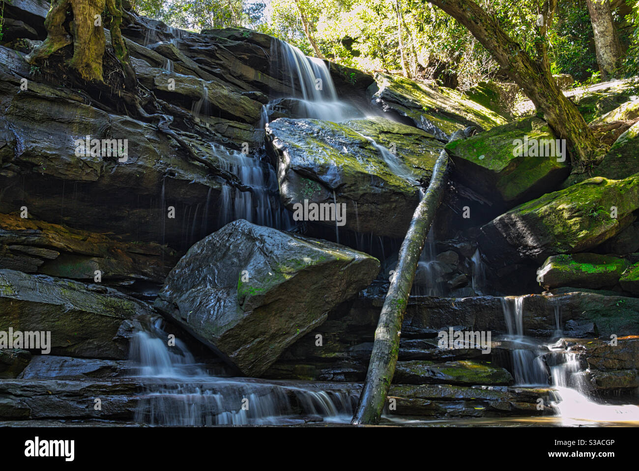 Somersby Falls Wasserreservat, New South Wales Australien Stockfoto