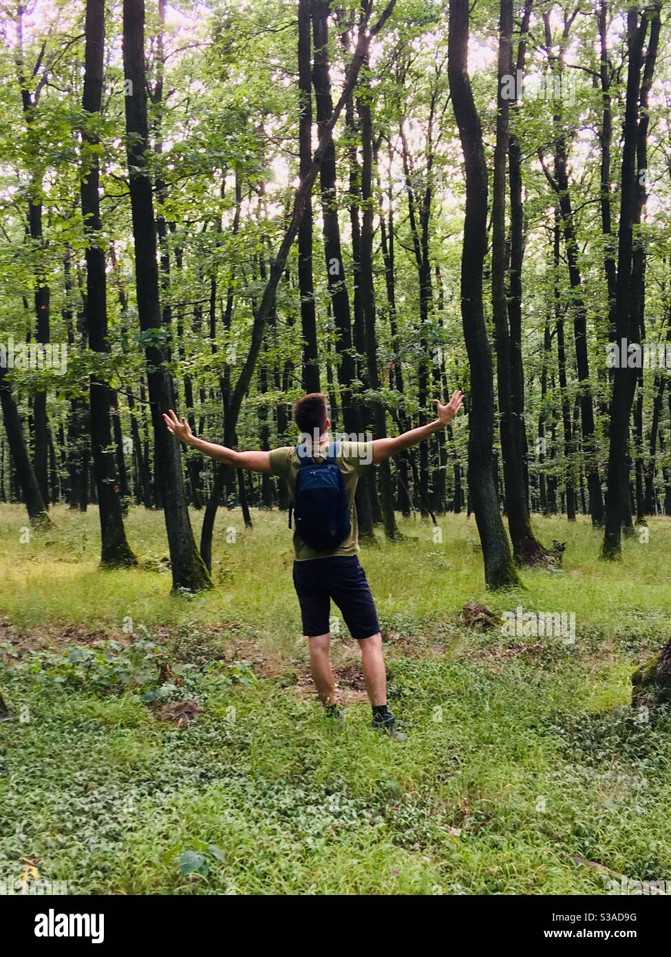 Mann im Wald. Stockfoto