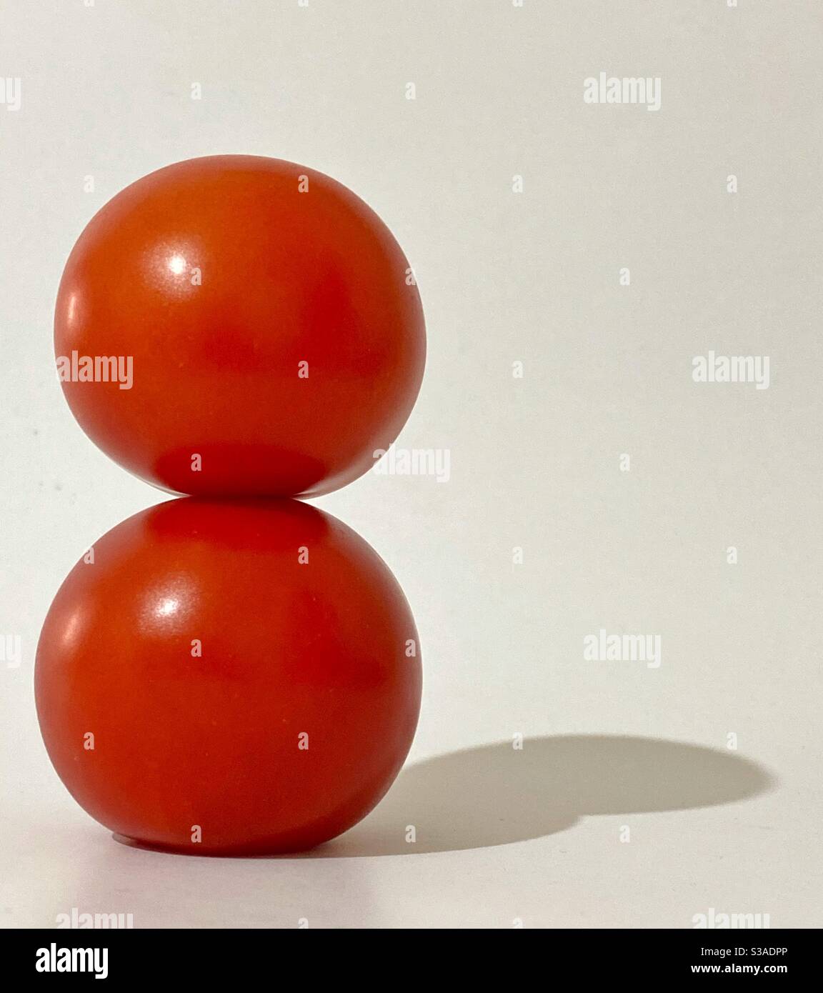 Zwei leuchtend rote Tomaten, eine balanciert auf der anderen. Auf weißem Hintergrund mit Kopierbereich. Stockfoto