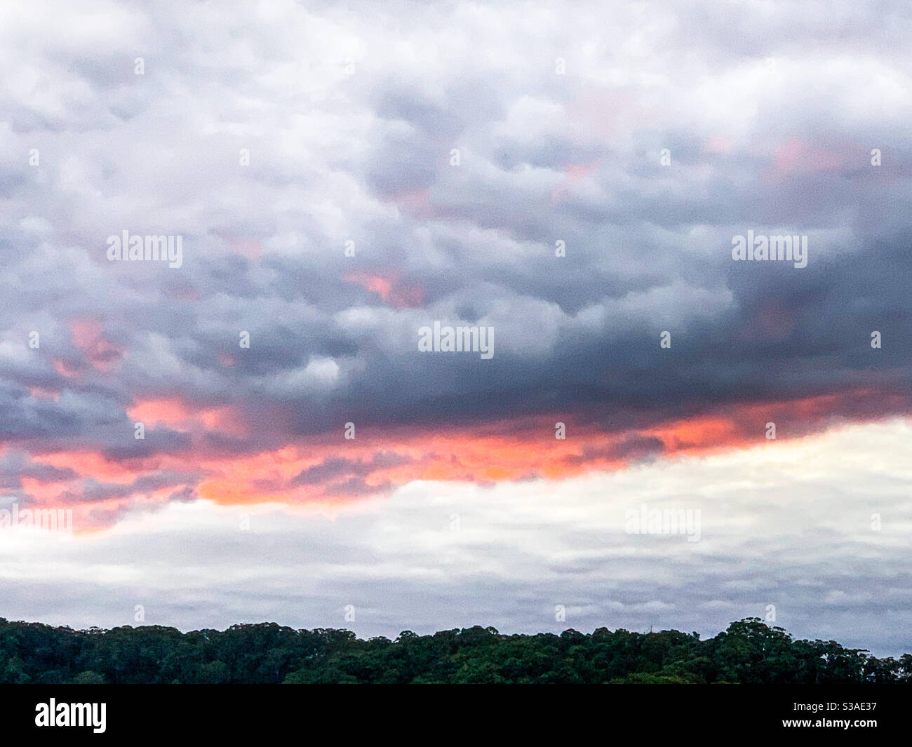 Der leuchtend rosa Unterbauch der Sturmwolken bei Sonnenuntergang wo Das Rosa und Orange spiegeln sich unter den Wolken Stockfoto