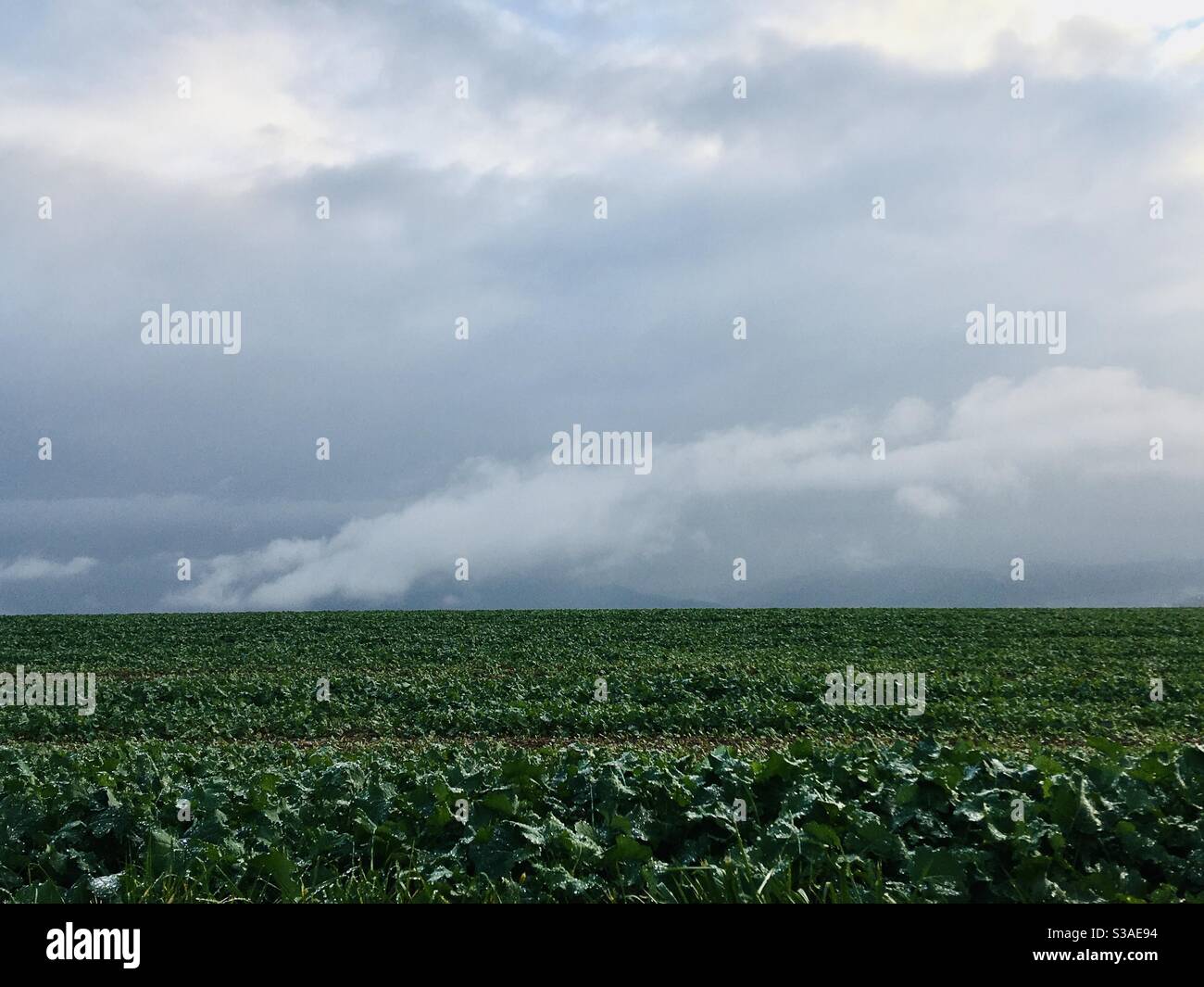Šumpersko - Smartphone-aufgenommenes Stockfoto