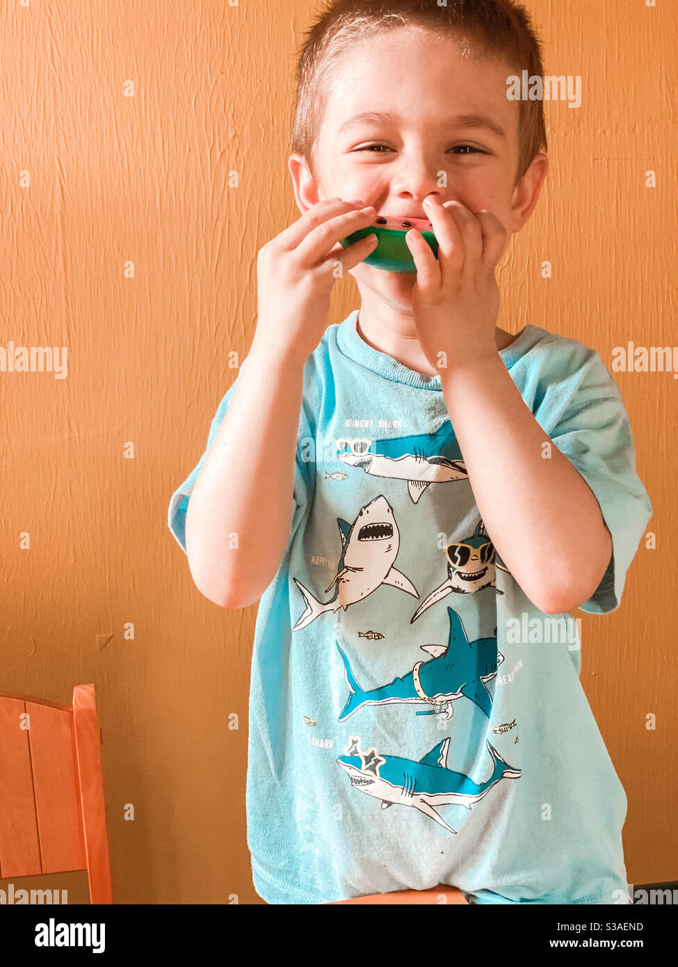 Kleiner Junge spielt mit Spielzeugnahrung in einem Baumhaus mit Ein Haifisch-T-Shirt Stockfoto