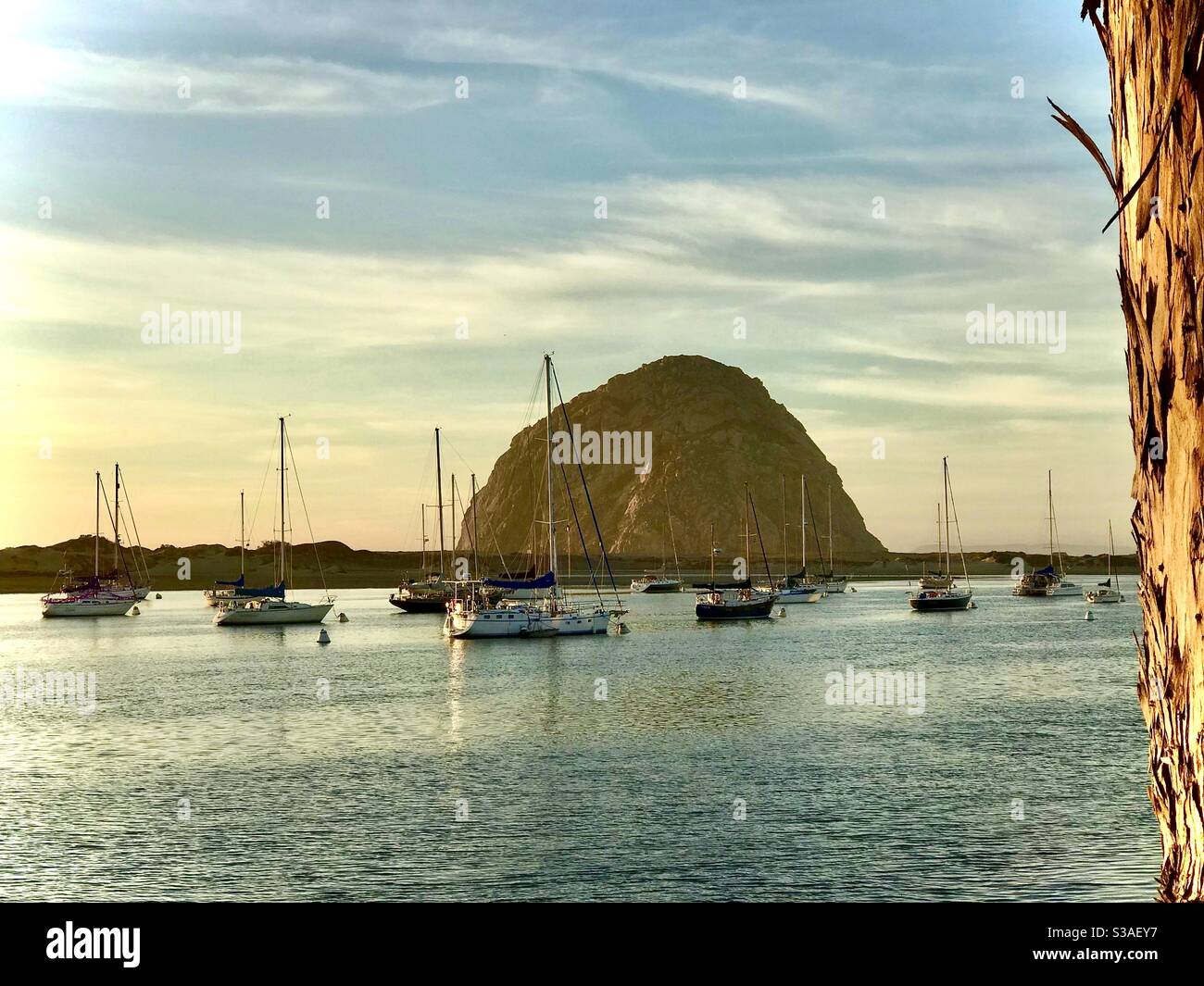 Außerdem Rock in Morris Bay, Kalifornien Stockfoto