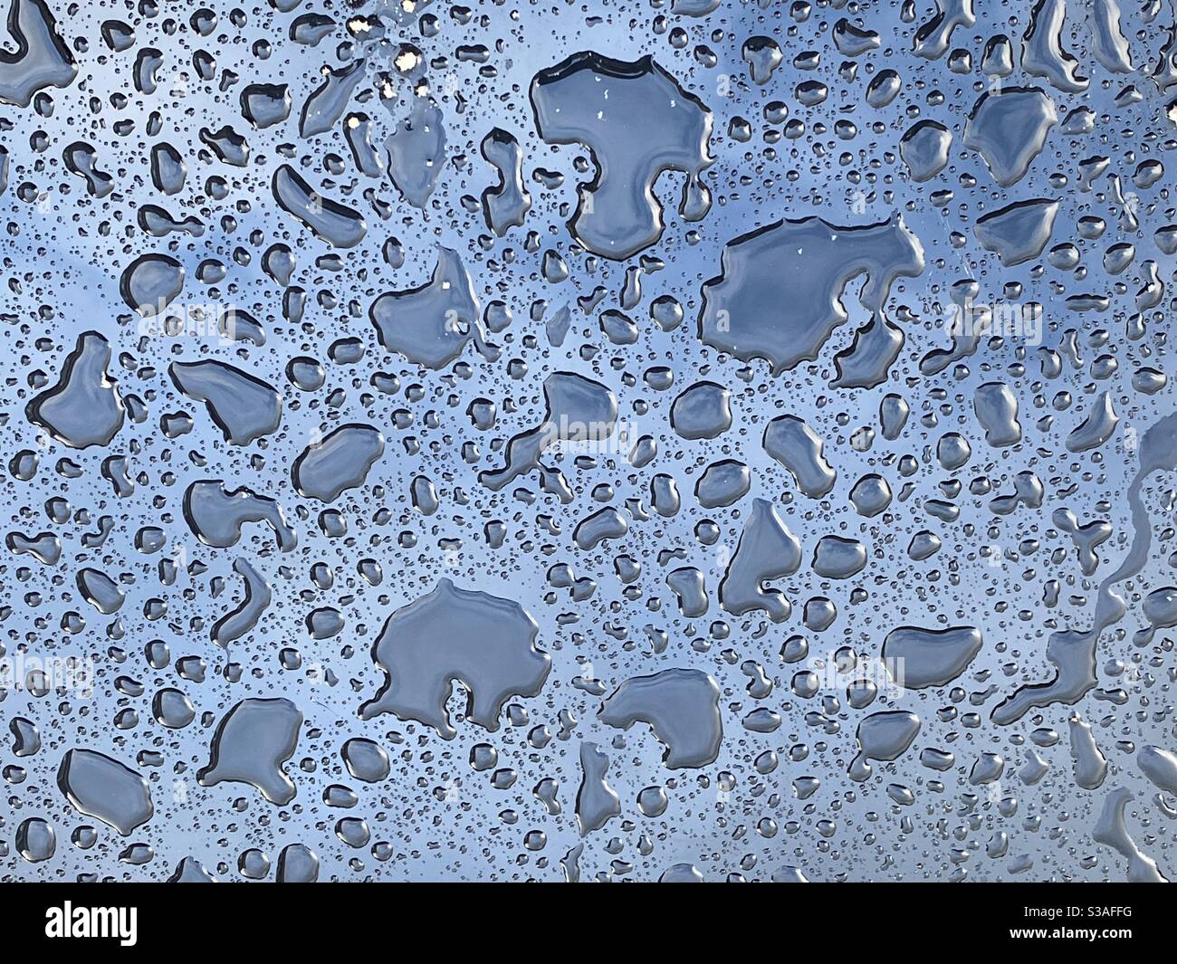 Wasserkugeln auf einer glänzenden Oberfläche nach dem Duschen Stockfoto