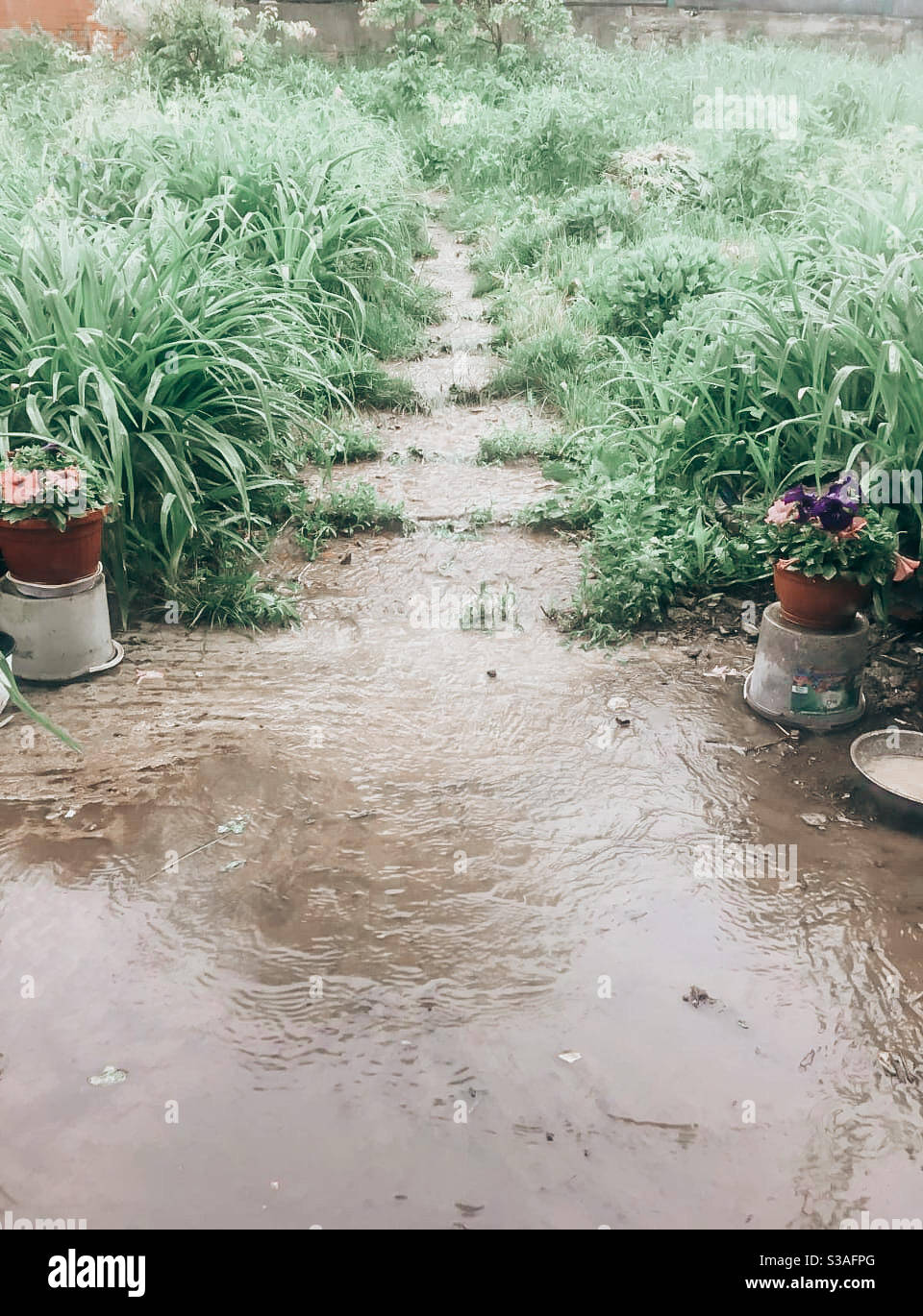 Nicht in der Lage, das Haus an einem regnerischen Tag als zu verlassen Der Vorgarten ist überflutet Stockfoto