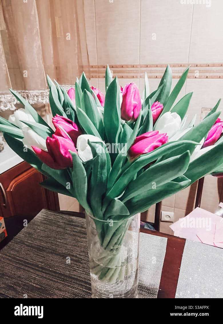 Rosa und weiße Tulpen in einer mit Wasser gefüllten Vase Auf einem Tisch Stockfoto
