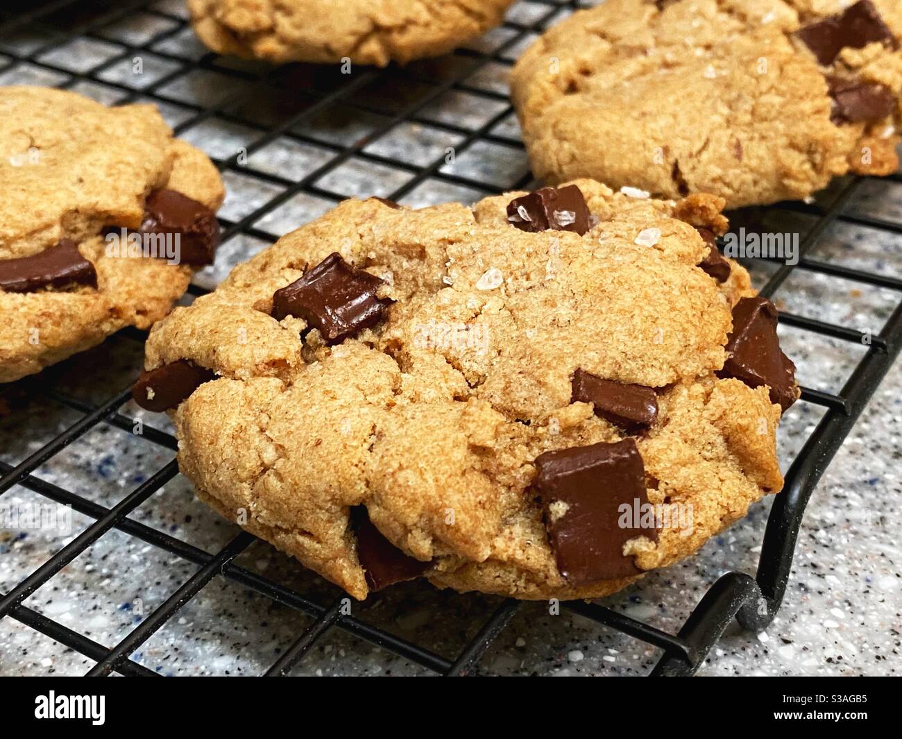 Chocolate Chunk Cookies auf einem Kühlregal. Stockfoto