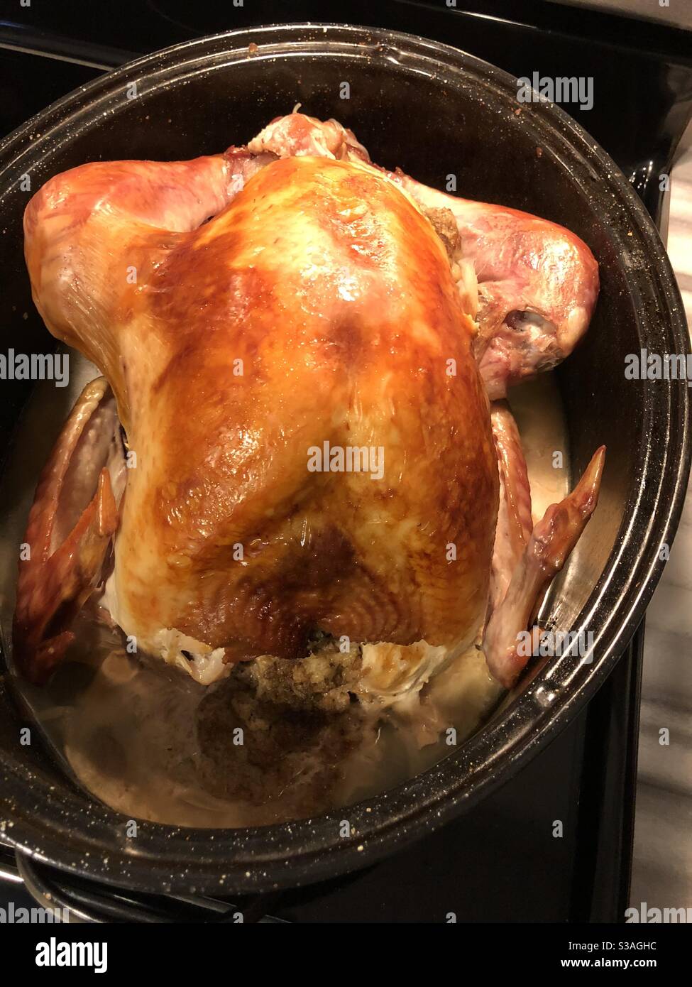 Thanksgiving truthahn gefüllt frisch aus dem Ofen Stockfoto