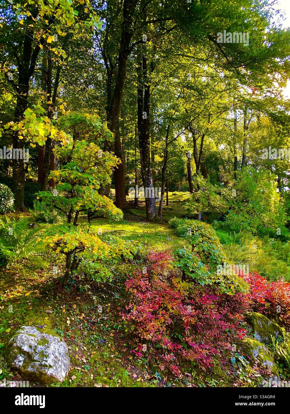 Orientalische Gärten Maulevrier Frankreich - Smartphone-aufgenommenes Stockfoto