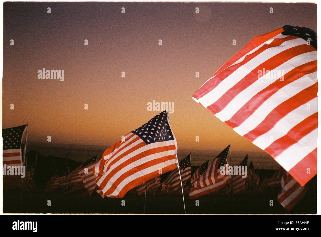 Amerikanische Flaggen Stockfoto