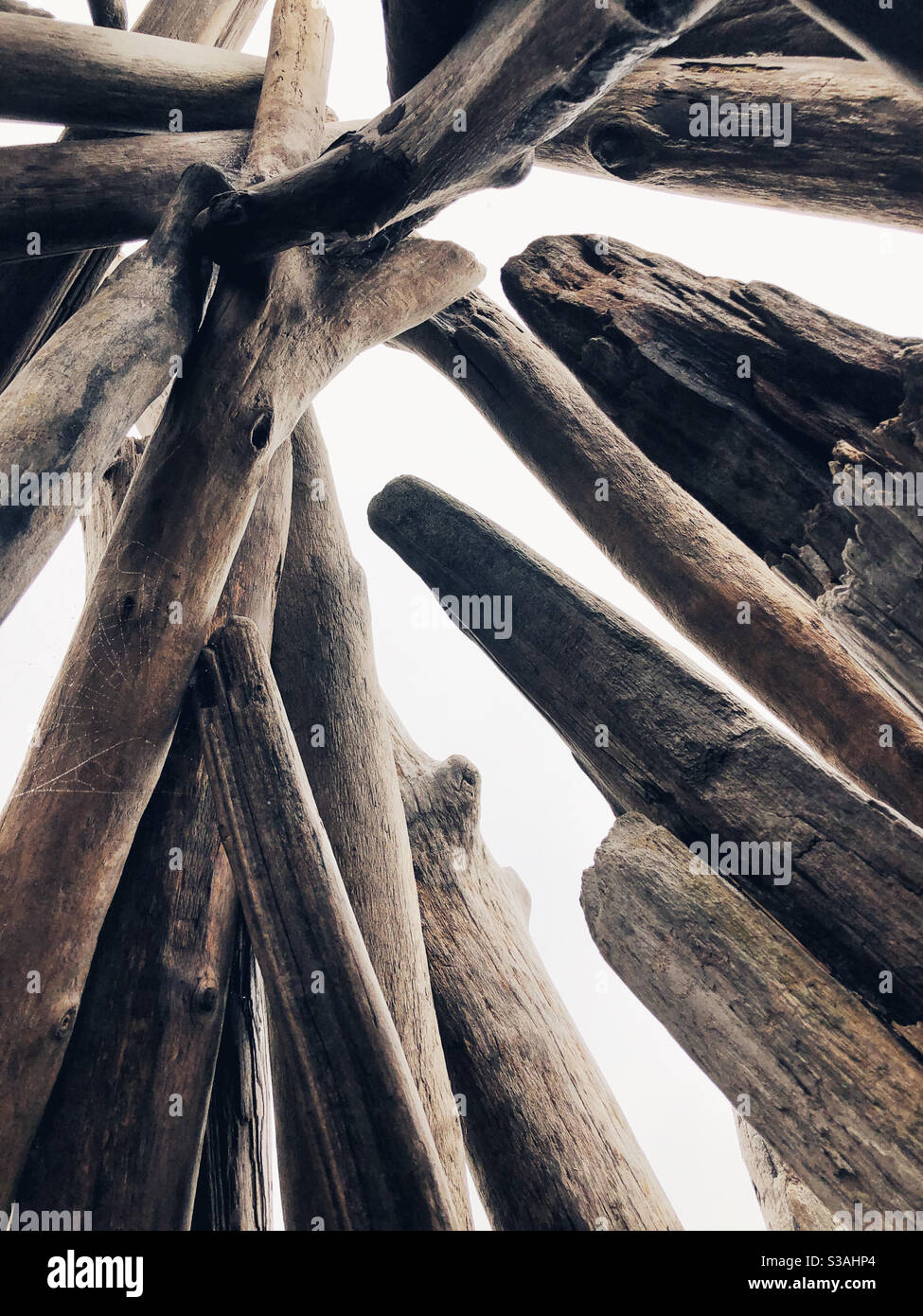 Im Inneren der Treibholzstruktur am Strand Stockfoto