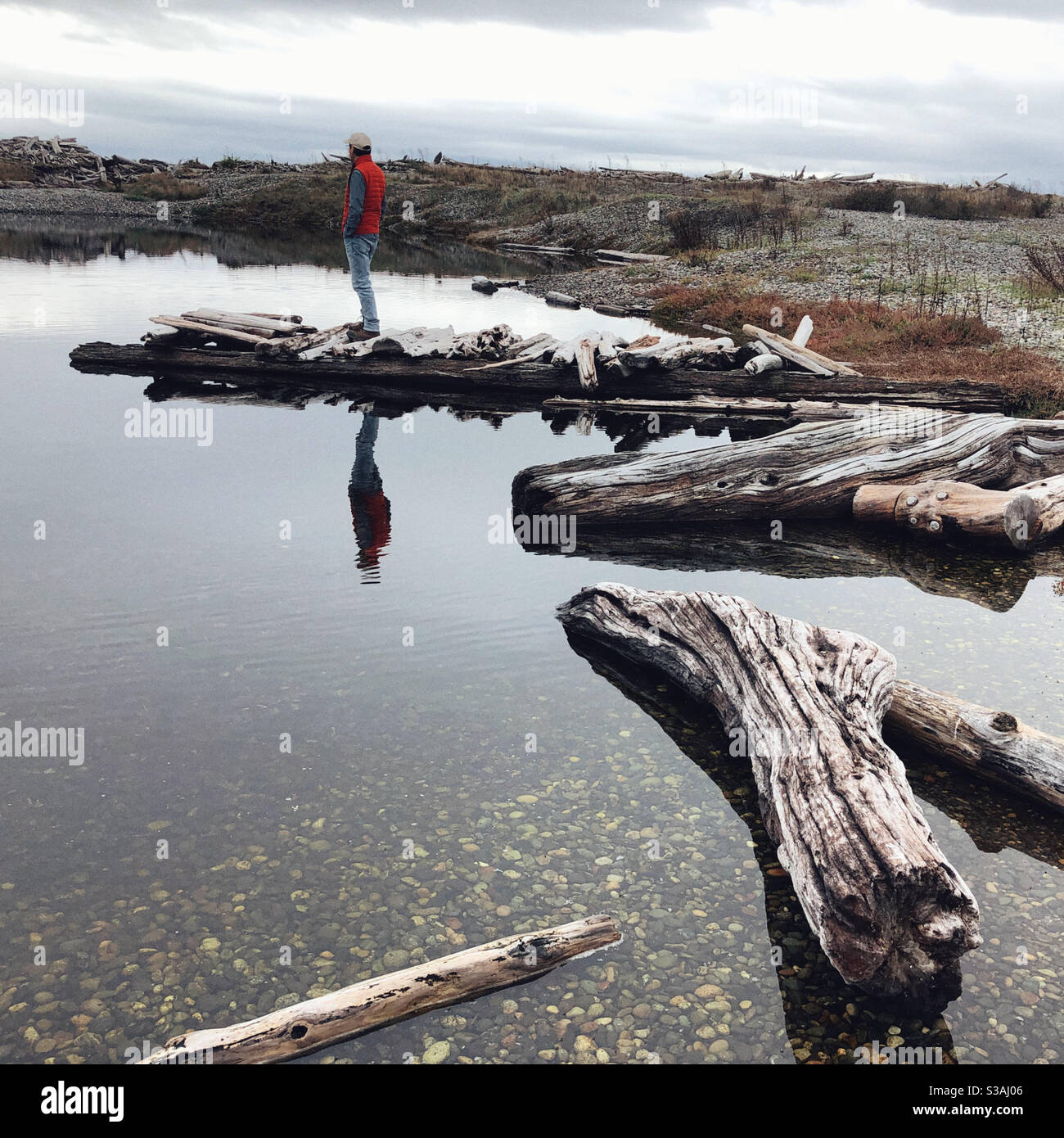 Driftwood Park, Whidbey Island, WA. Stockfoto