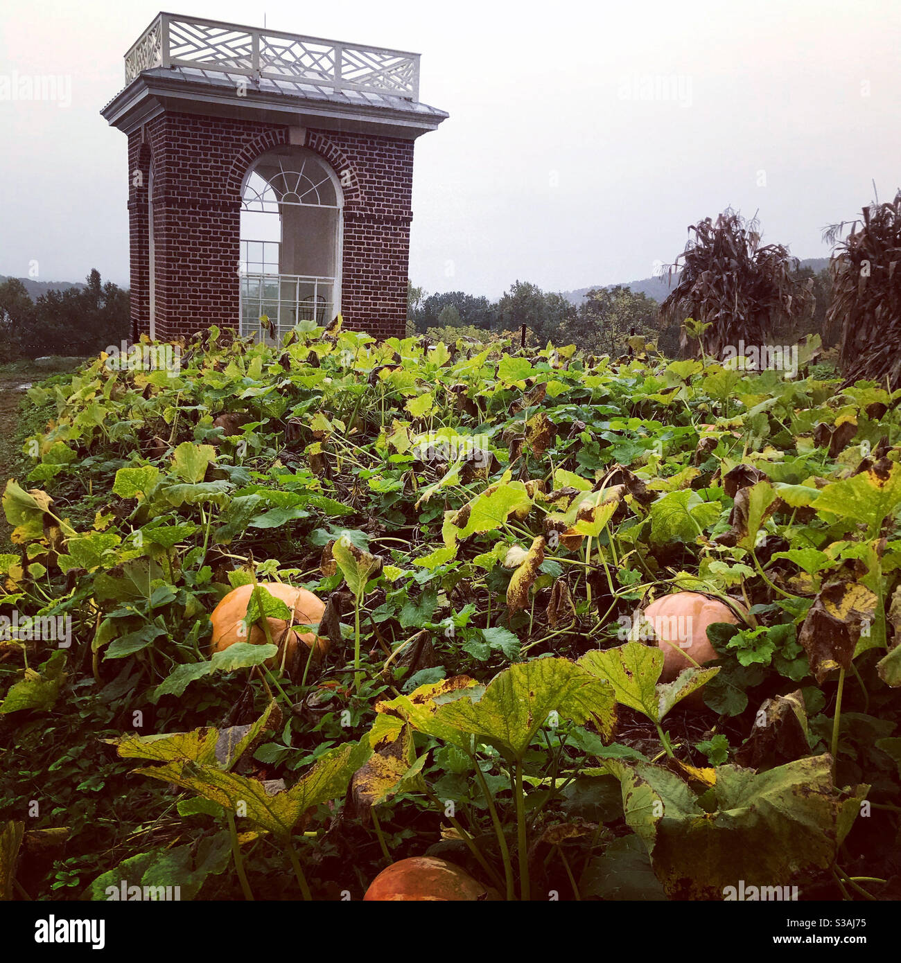 Thomas Jeffersons Garten Leseport. Stockfoto