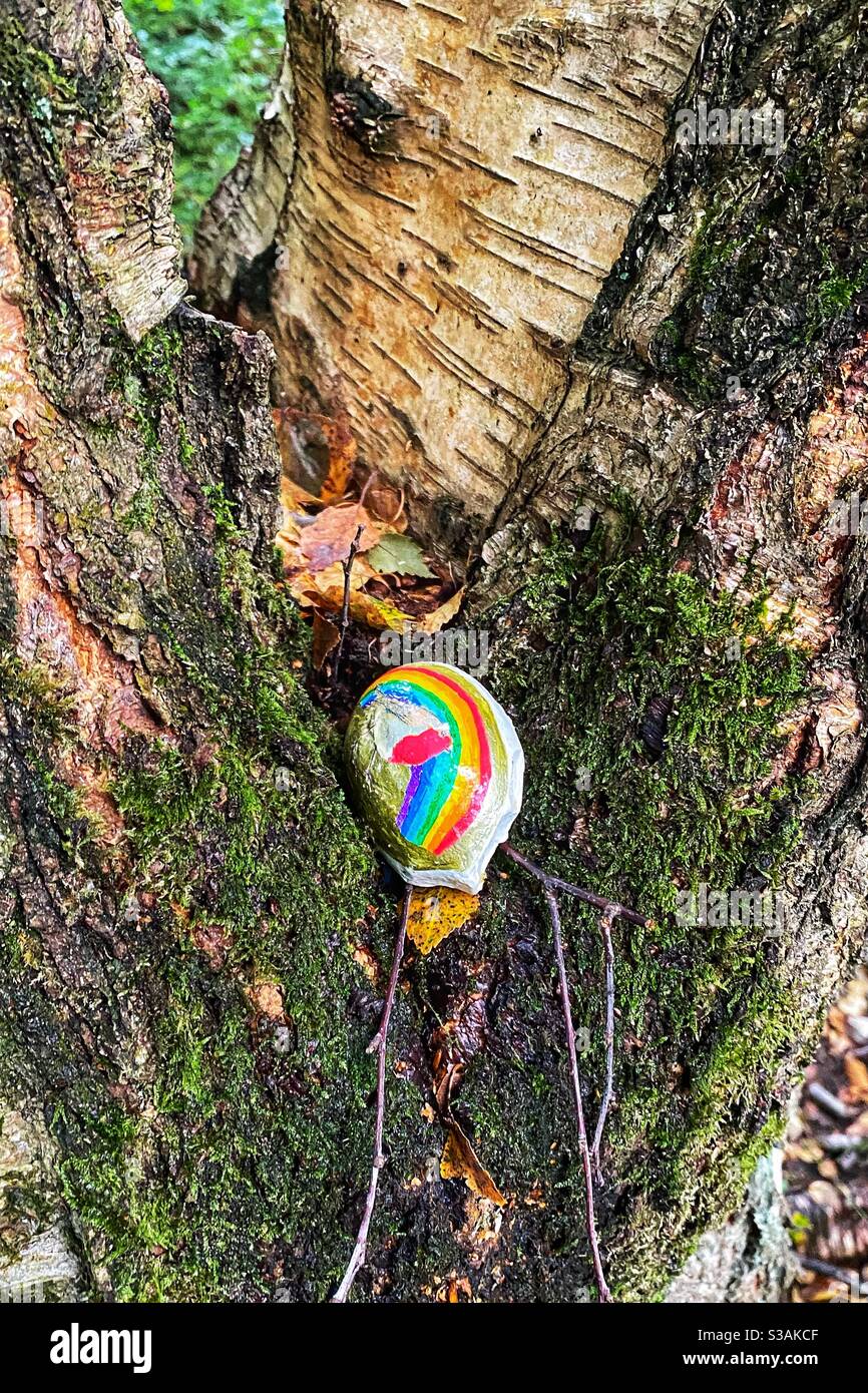 Bemalter Regenbogenstein sitzt in einem Baumstamm Stockfoto