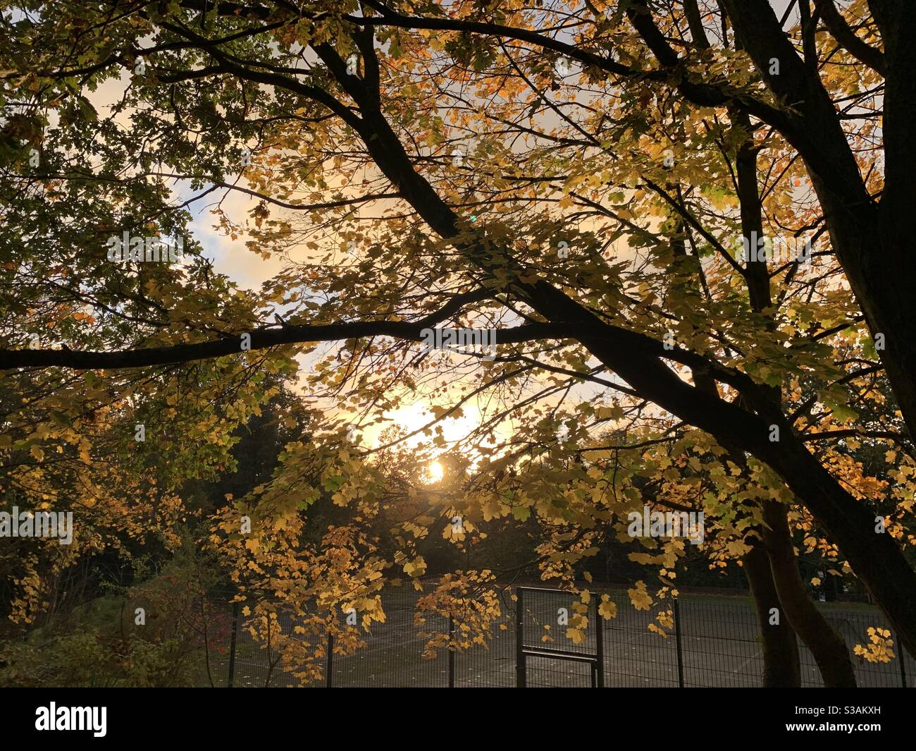 Herbst Sonnenaufgang Stockfoto