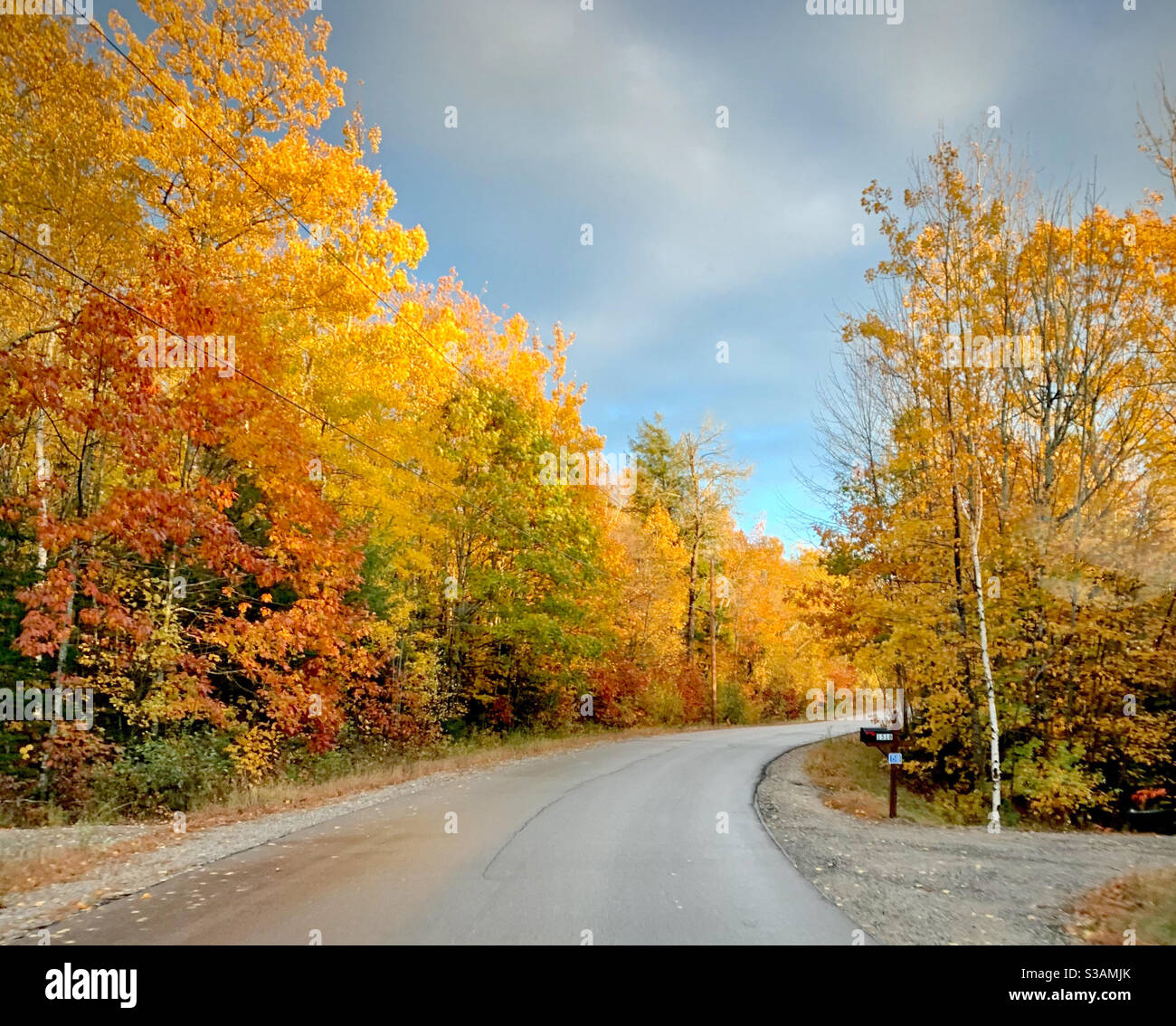 Blatt piepst Stockfoto