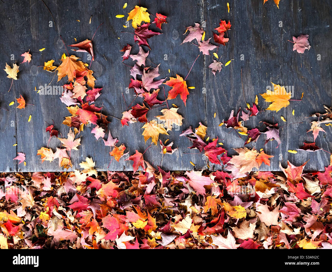 Deck mit Herbstblättern - Smartphone-aufgenommenes Stockfoto