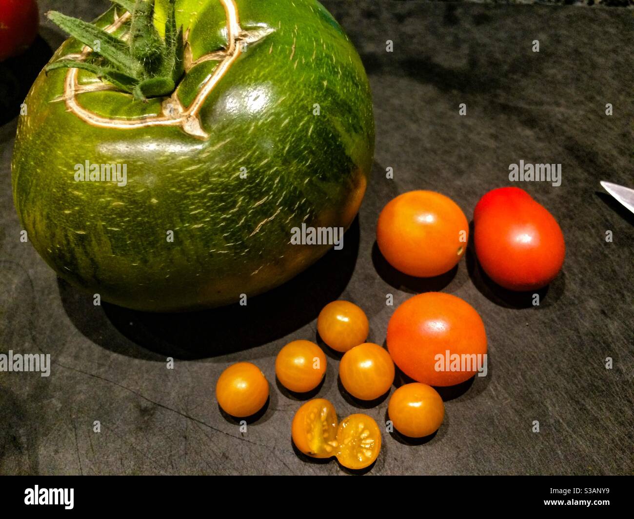 Tomaten grün und orange auf schwarzem Hintergrund - Smartphone-aufgenommenes Stockfoto