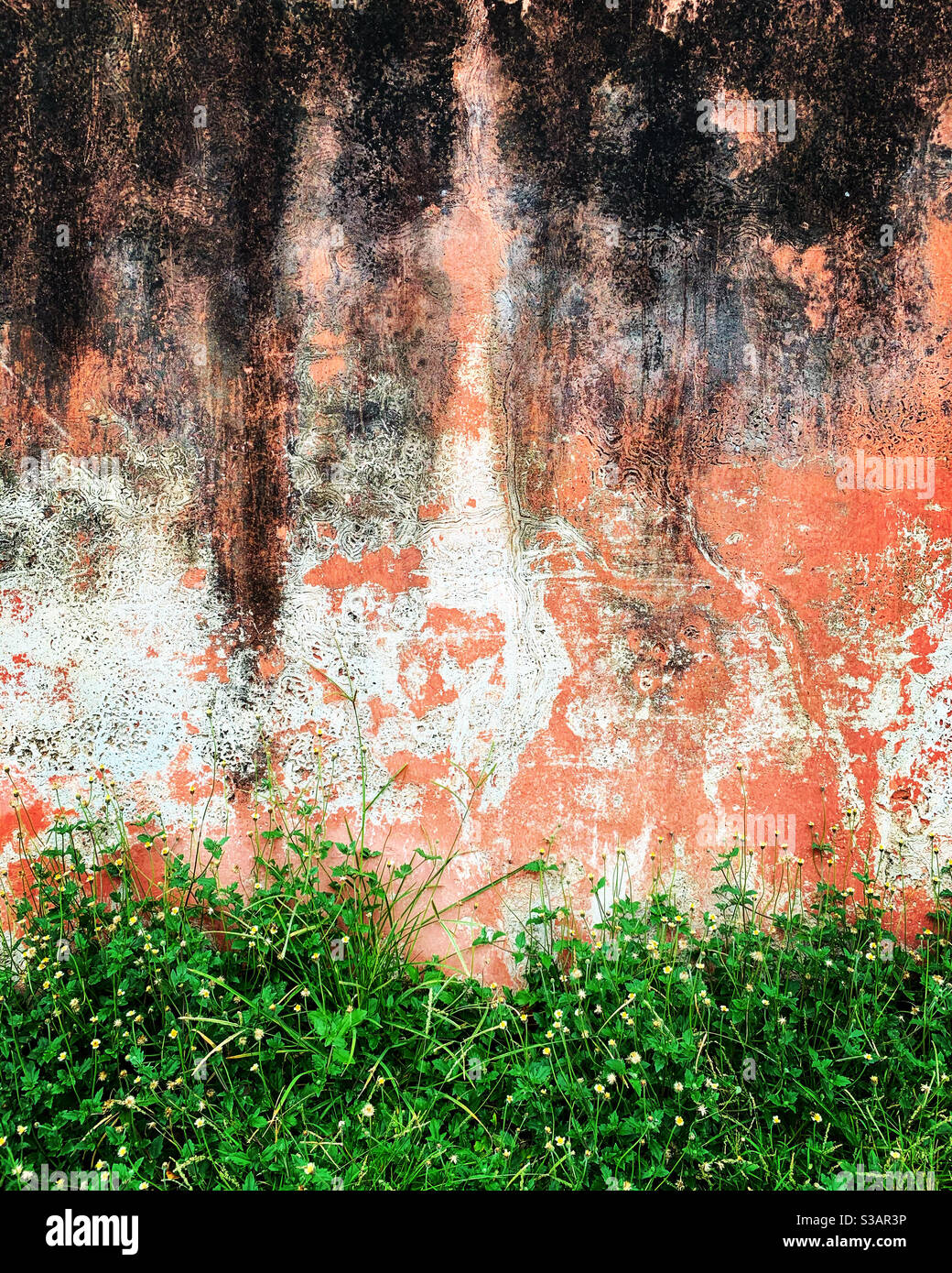 Stadtnatur Stockfoto