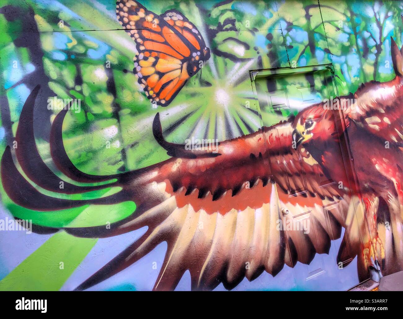 Bunte Stadtbild-Wandgemälde mit Naturmotiven. Stockfoto