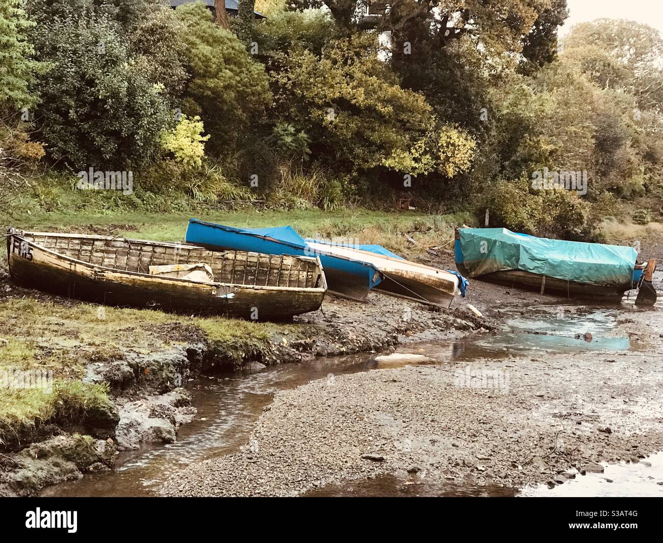 Dinghies auf einem üppigen Ufer in Penpol Creek - Smartphone-aufgenommenes Stockfoto