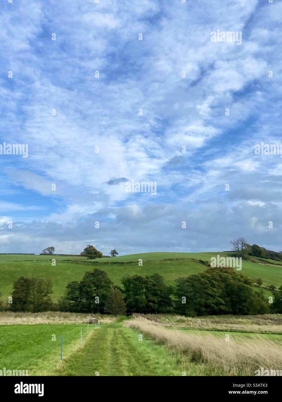 Englische Landschaft, grüne Felder, blauer Himmel und bemundete Wolken Stockfoto