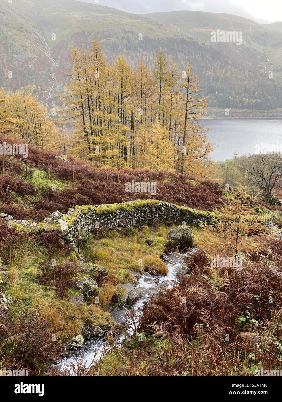 Ein Bach und eine moosige Steinmauer, die nach Thirlmere führt Im Seengebiet mit Herbstfarben Stockfoto