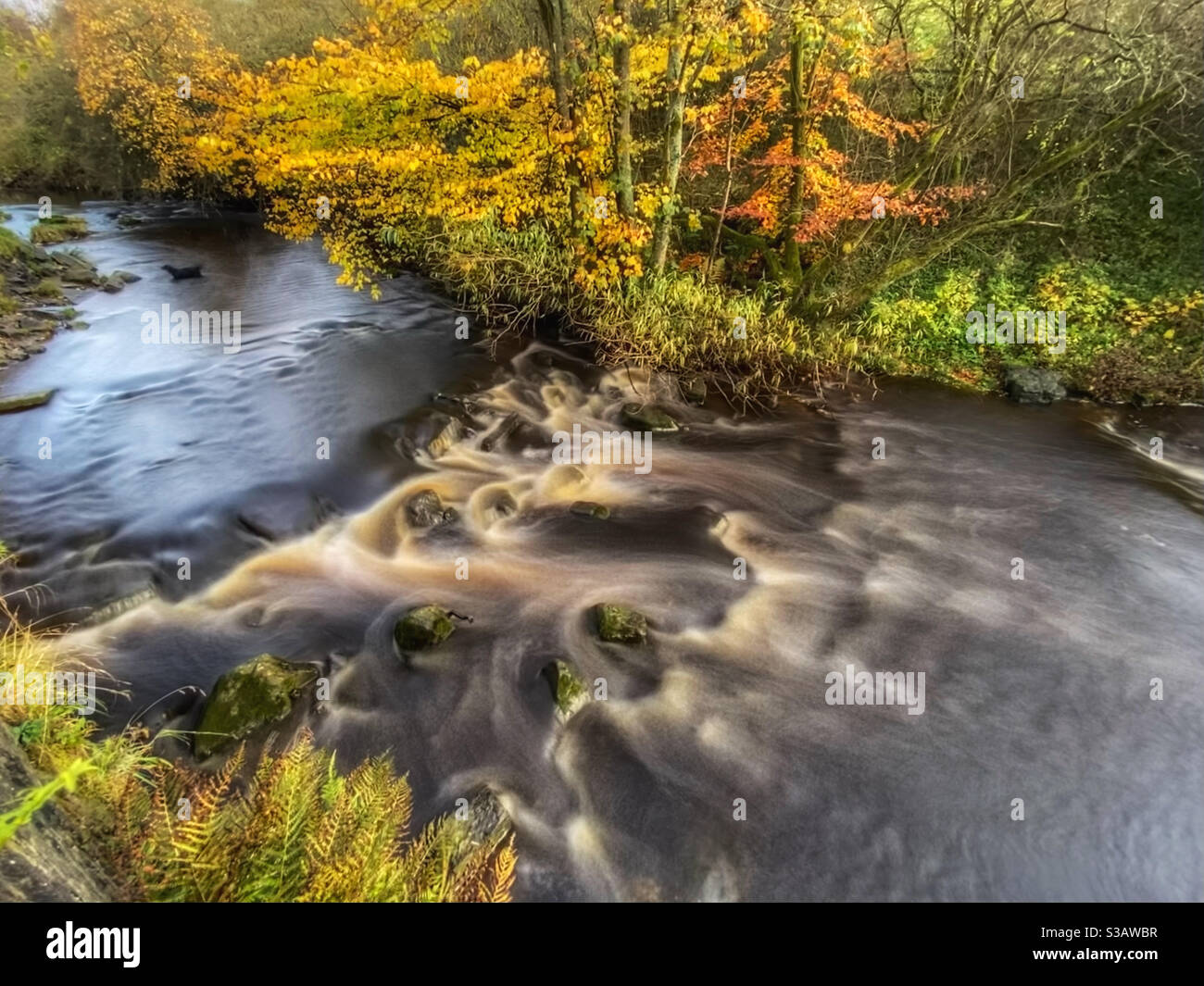 Fließender Fluss im Ball Grove Naturschutzgebiet im Herbst in Colne, Lancashire Stockfoto