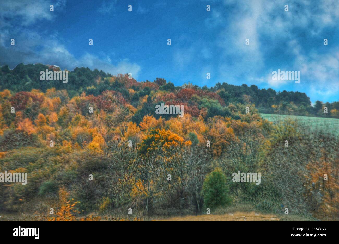 Horizontales Farbbild im Herbst Stockfoto