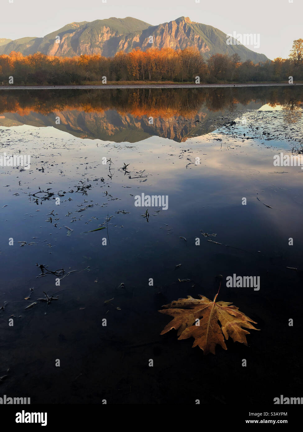 Fall in North Cascades Stockfoto