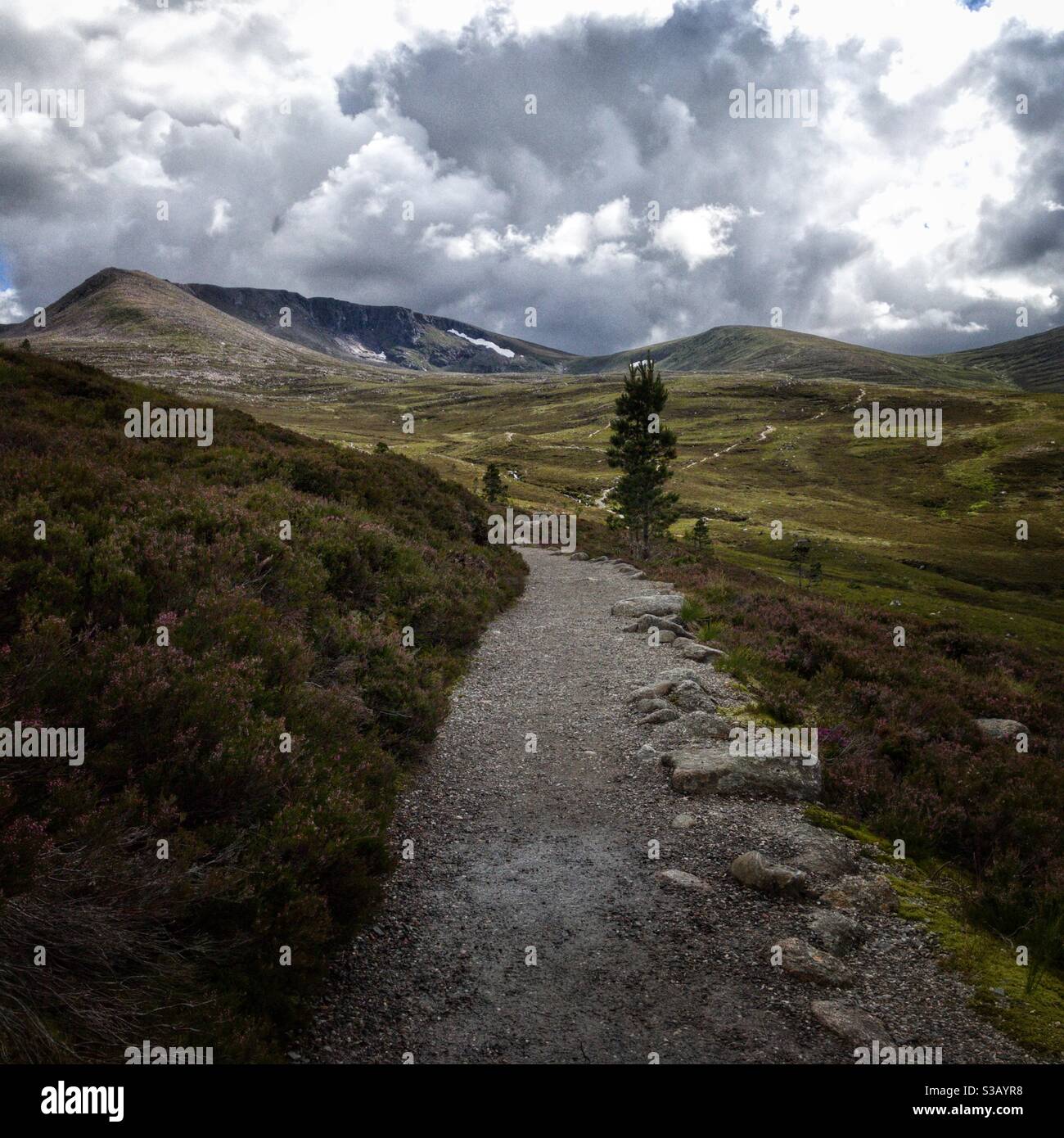 Berge der Cairngorms, Schottland. Stockfoto