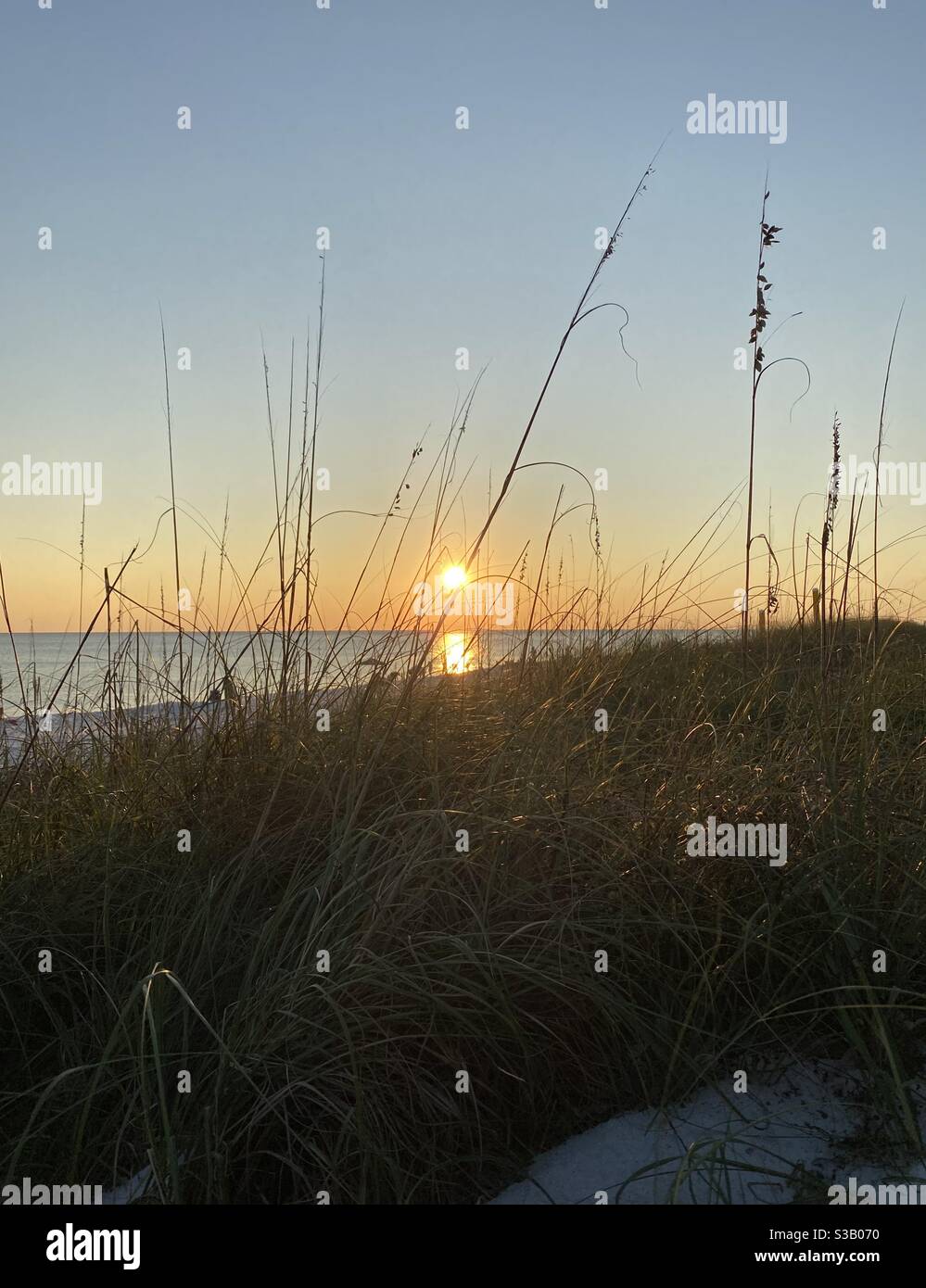 Goldene Sonne untergeht durch Dünengras am Strand Stockfoto