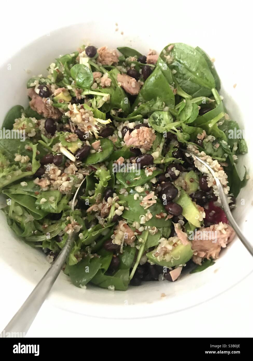 Thunfisch, Bohne, Avocado und Quinoa Salat in einer weißen Schüssel serviert - Smartphone-aufgenommenes Stockfoto