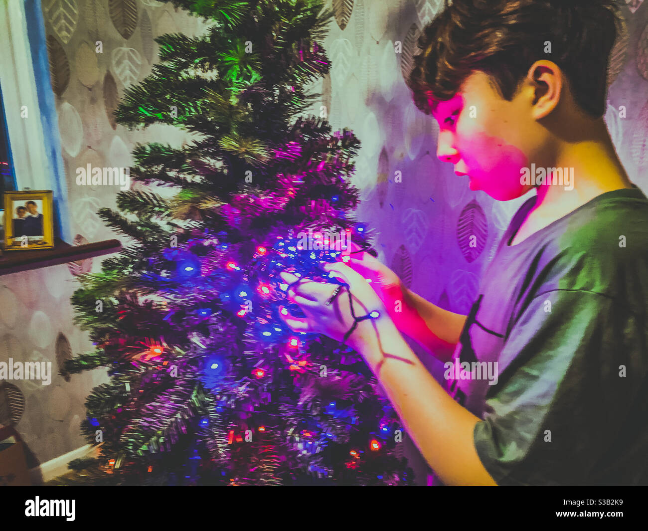 Ein Junge setzt Lichterketten auf einen Weihnachtsbaum. Stockfoto